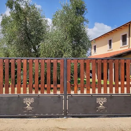 Il Poggio Dell'Artilla-2